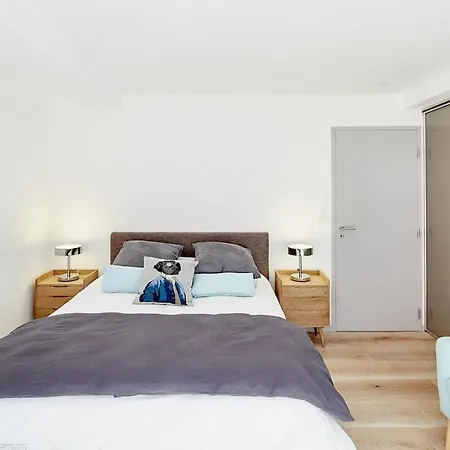 度假居 Moulleau Jolie Maison De Avec 3 Et Patio 阿卡雄